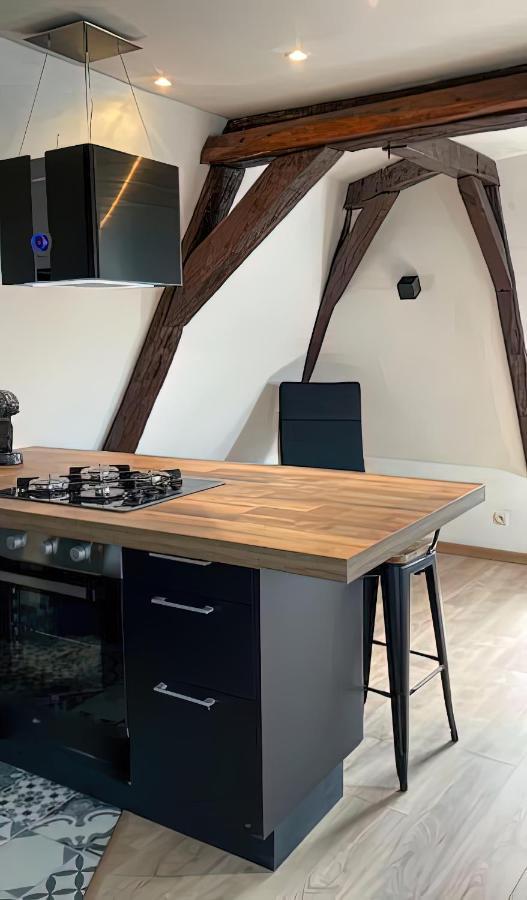 Vue Sur La Cathedrale - Au Coeur De Bourges Apartment Ngoại thất bức ảnh